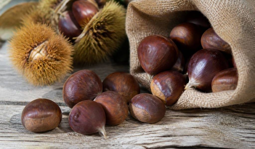 Marrons ou châtaignes : comment bien les choisir et les cuisiner