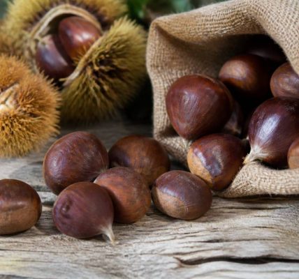 Marrons ou châtaignes : comment bien les choisir et les cuisiner