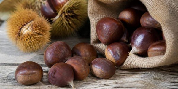 Marrons ou châtaignes : comment bien les choisir et les cuisiner