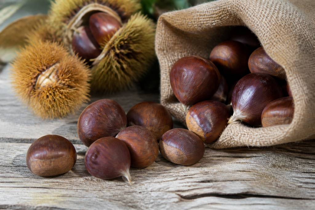 Marrons ou châtaignes : comment bien les choisir et les cuisiner